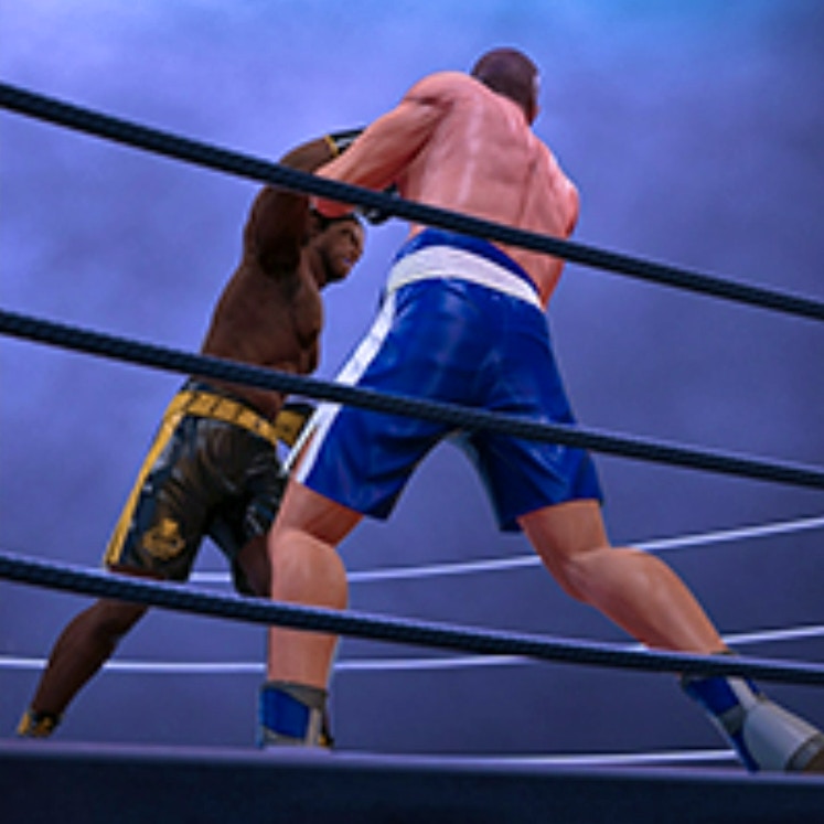 Ultimate Boxing